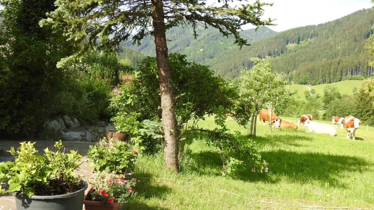 Gross Lettenwag Göstling an der Ybbs Dış mekan fotoğraf