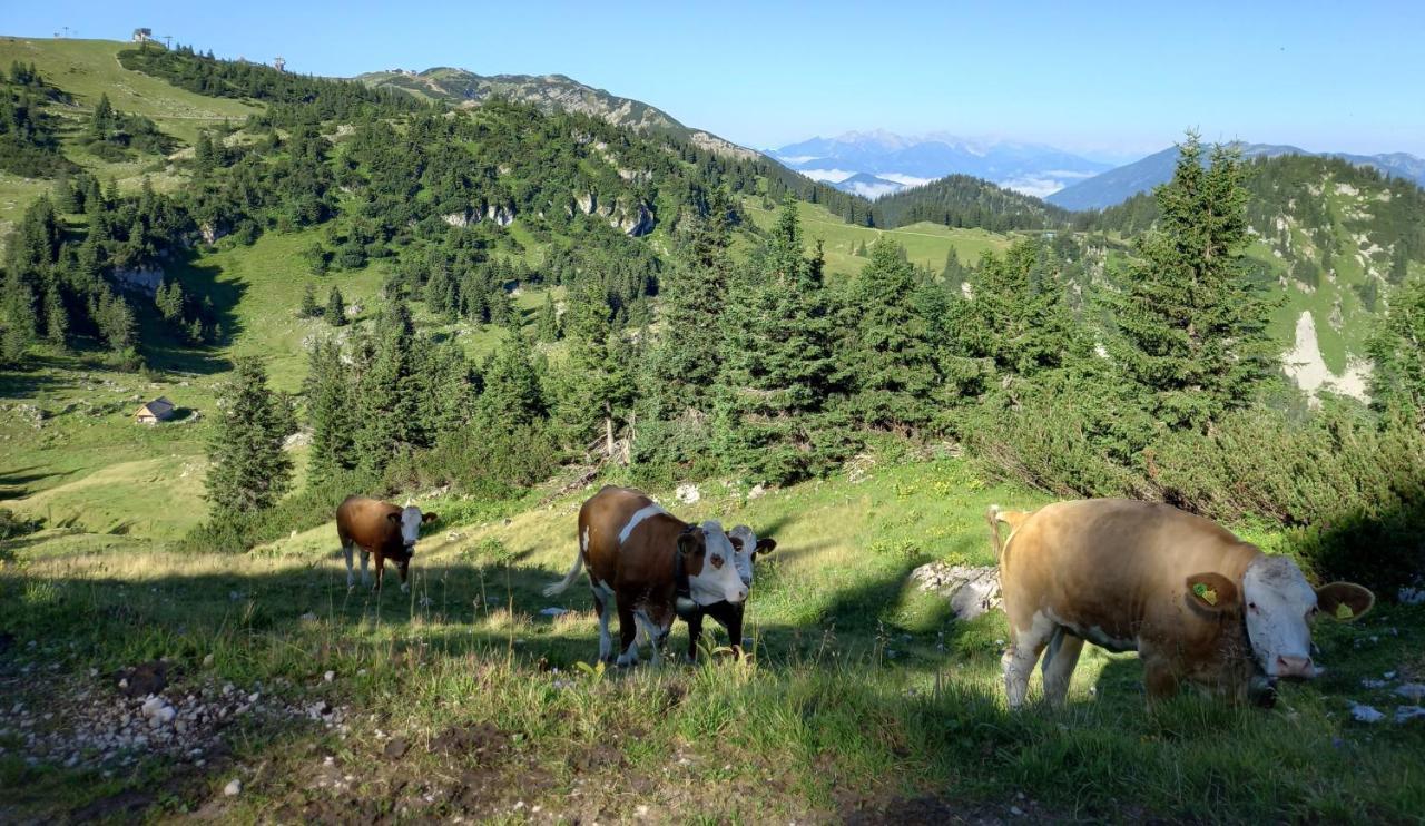 Gross Lettenwag Göstling an der Ybbs Dış mekan fotoğraf